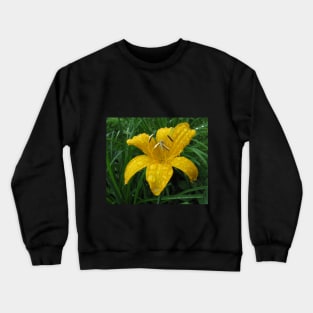 Wild lily after rain Crewneck Sweatshirt